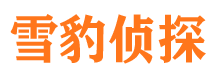 额尔古纳侦探